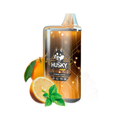 HUSKY CYBER NEW 8000 Апельсин лимон перечная мята лёд