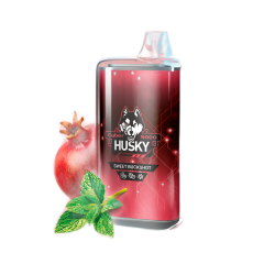 HUSKY CYBER NEW 8000 Гранат перечная мята лёд