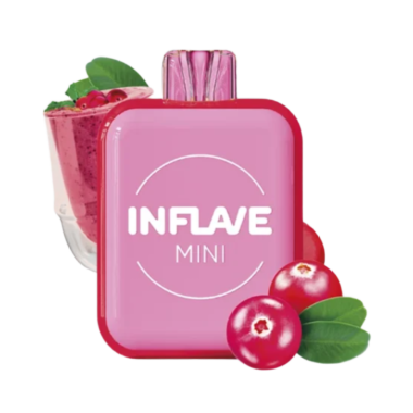 INFLAVE MINI 1000 Брусничный смузи